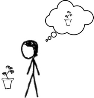 A person forming a belief about a plant.